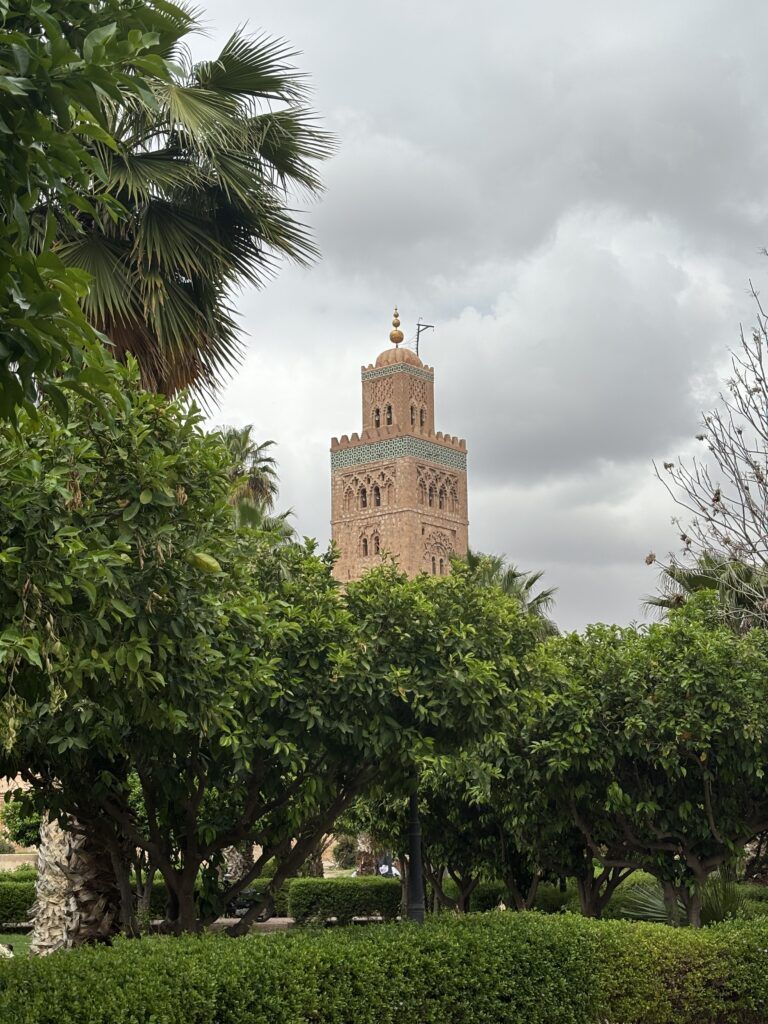 Casablanca to Marrakech (6 days) img 4980