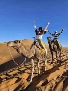 Desert Tours camel tour