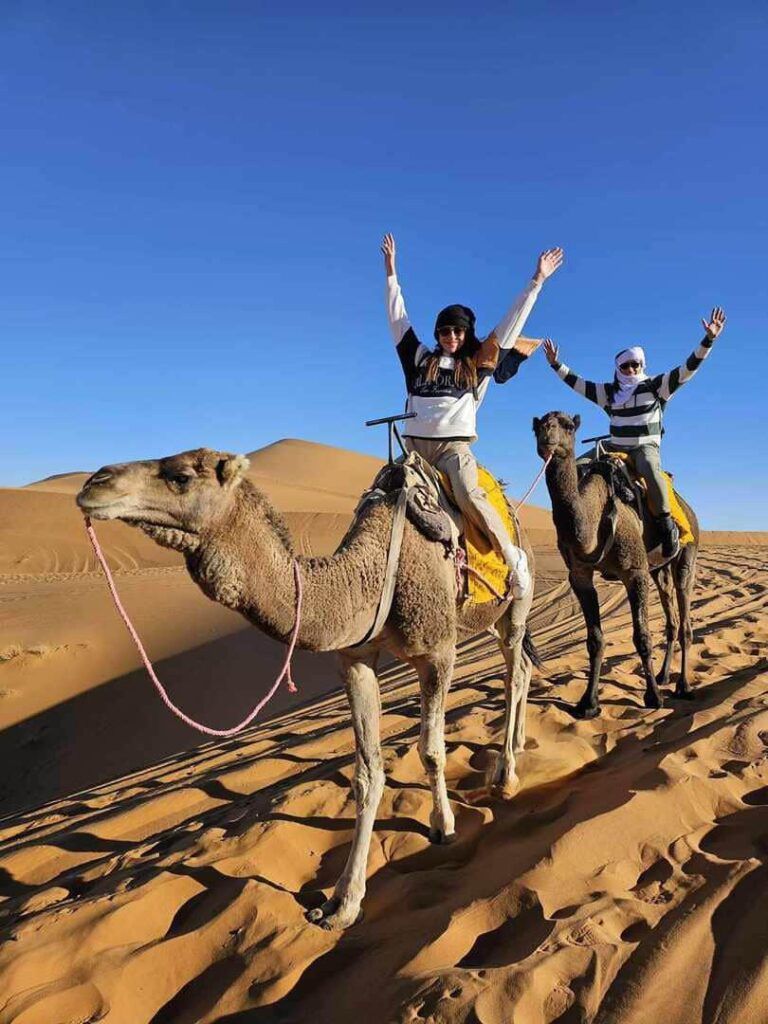 Experiences in the desert paseo en camello