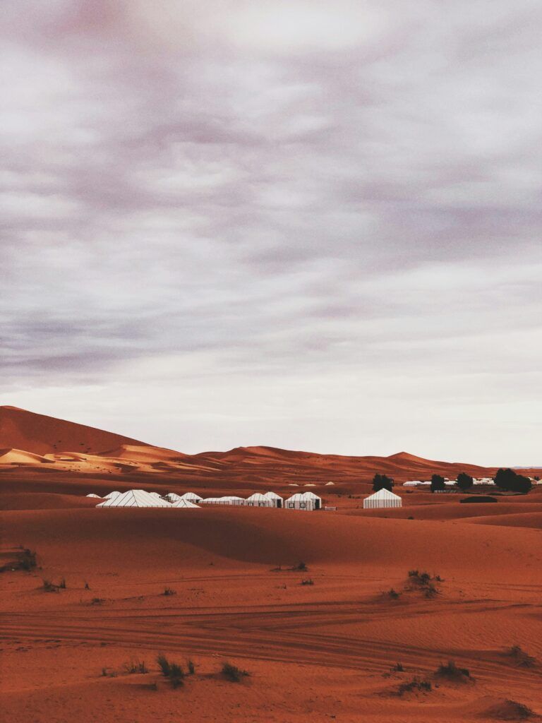 Tour Privati lin kehan z115b7 5f3a unsplash