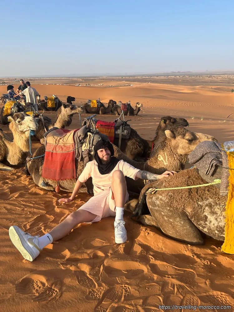 camels 10
