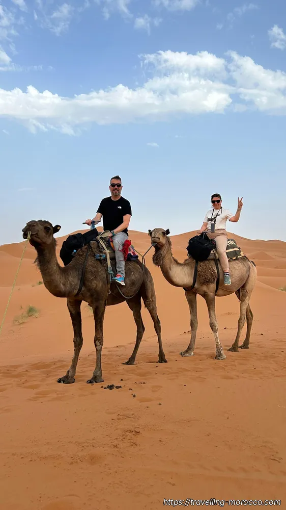 merzouga desert camel trekking