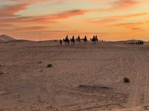 sahara desert tour